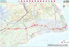 如金山203、2